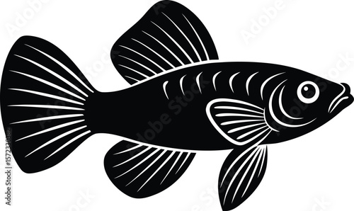 vector illustration of a fish
