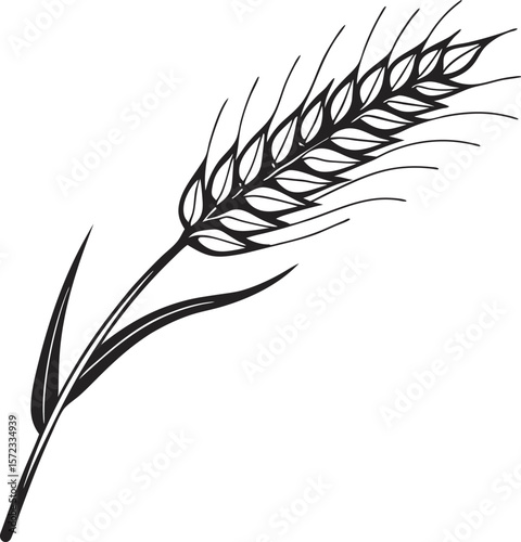 Vector art of a single ear of wheat stands tall, representing the bounty of the harvest season