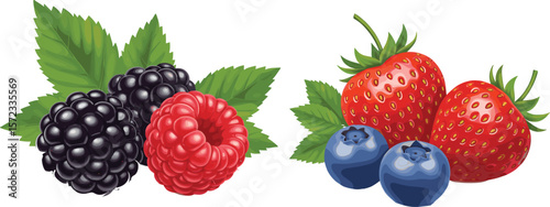 Vibrant Collection of Fresh Ripe Summer Berries: Juicy Strawberries, Sweet Blueberries, Tangy Raspberries, and Dark Blackberries on a White Background, Perfect for Healthy Eating Concepts.