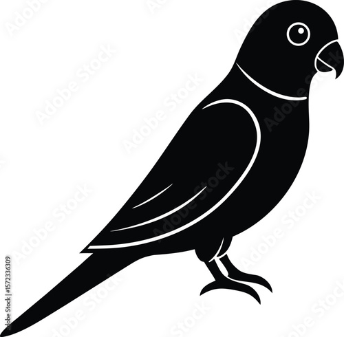 vector illustration of a bird