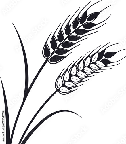 Vector art of a black and white wheat stalks sway gently in the breeze of the open field