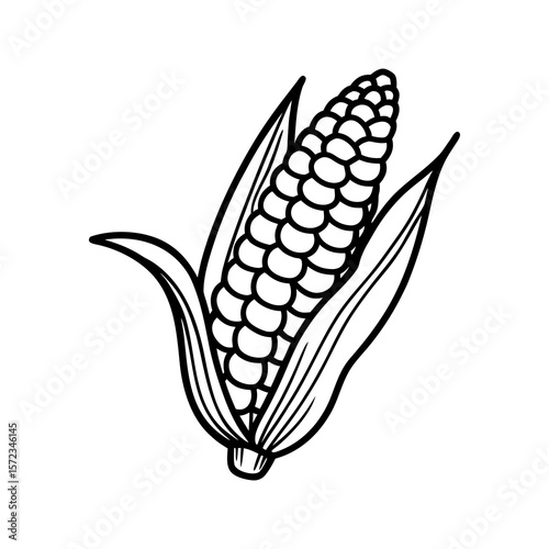 Black and white drawing of a corn cob with leaves isolated on white background