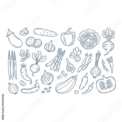 Hand drawn line art illustration of assorted fresh vegetables organic healthy farm fresh produce minimalist blue design vibrant clean aesthetic