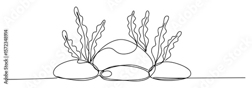 underwater rocks and seaweed line art
