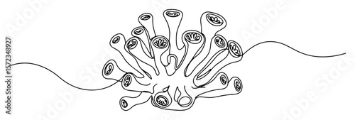 underwater coral polyp colony outline drawing
