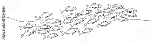 school of fish swimming underwater line art