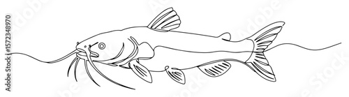 catfish swimming underwater outline vector