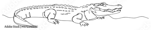 crocodile walking on land line drawing