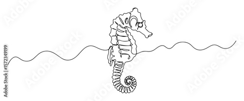 seahorse floating in water outline drawing