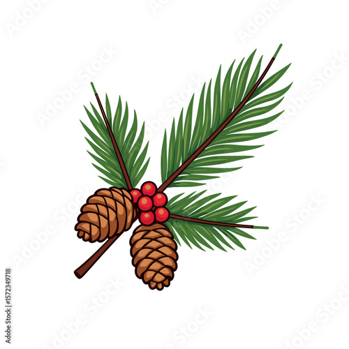 Pine cones and berries with fir branches on white background, Christmas decoration