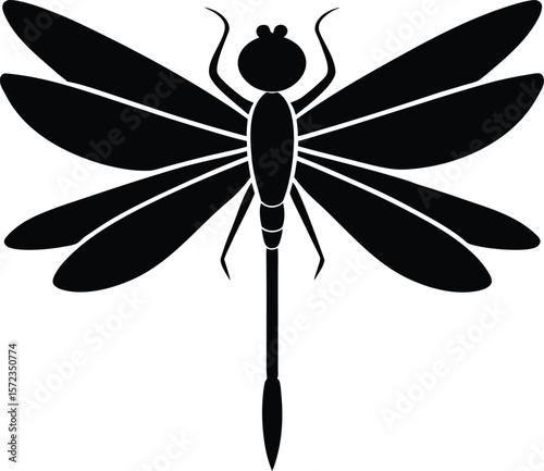 dragonfly vector illustration
