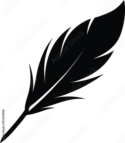 feather vector illustration