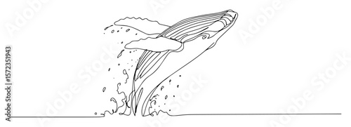whale jumping out of water