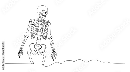 human skeleton sitting on beach