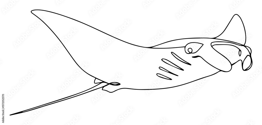 Fototapeta premium manta ray swimming