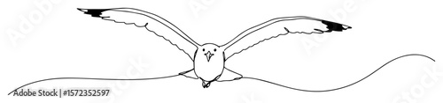 seagull flying toward viewer