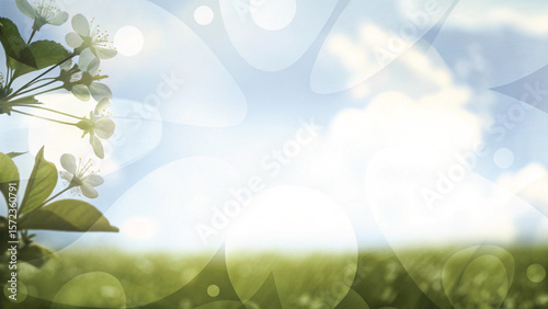 Bright sunny spring meadow with green grass and colorful flowers under a clear sky