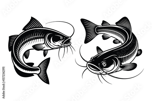 Freshwater Catfish Graphic in a Circular Shape On White Background