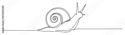 realistic snail crawling line illustration