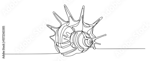 spiked sea shell vector line drawing