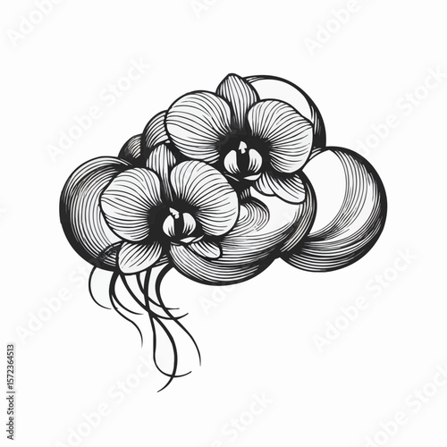 Elegant orchid flowers intertwined with abstract bubbles in black and white