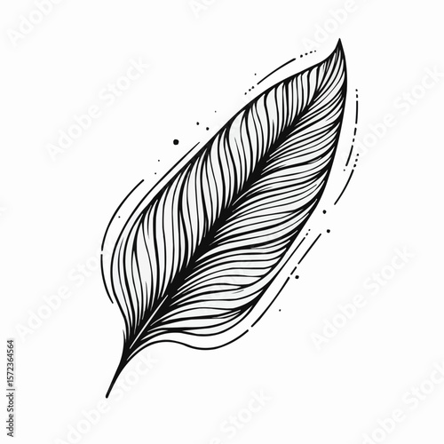 Artistic black and white drawing of a feather with intricate line details for creative use
