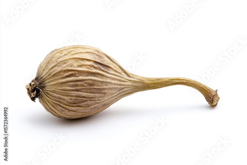 Wallpaper Mural Dried fig displaying rich texture and color against clean background Torontodigital.ca