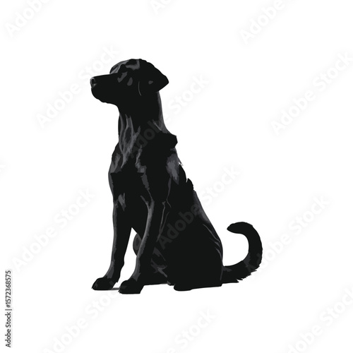 black Labrador retriever dog vector