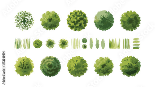 Top View Tree and Grass Collection for Landscaping and Architectural Design