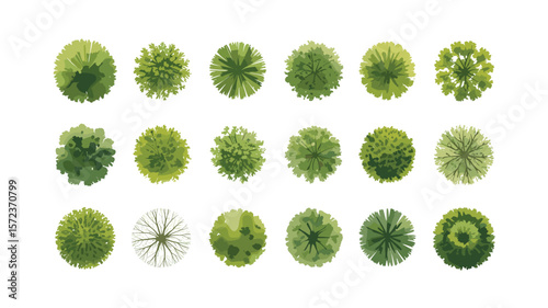 Top-Down View of Various Green Trees, Diverse Foliage and Shapes for Landscape Design