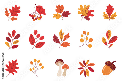 Autumn Set of Leaves, Mushrooms, and Acorns – Seasonal Nature Clipart in Vector Illustration Style for Fall Decor and Design Projects