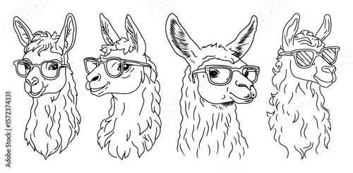 cool hipster llamas with glasses line art set