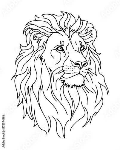 majestic lion head with mane line art drawing