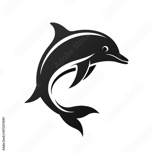 dolphin isolated on white background