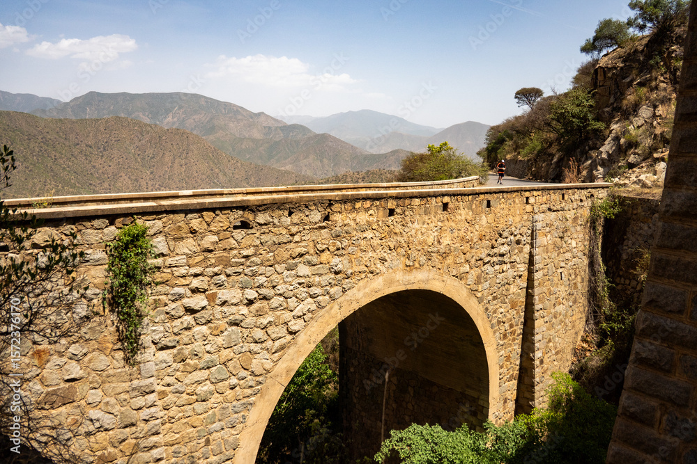 Fototapeta premium Railway bridge outside of Asmara, Eritrea