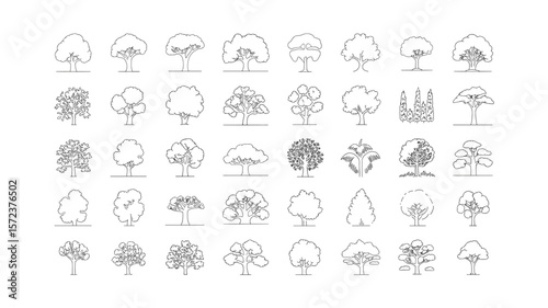 Diverse Tree Outline Collection: Vector Set of Botanical Illustrations for Design and Education