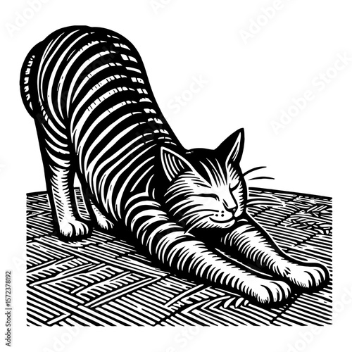 Cat Stretching on Floor Black and White Outline Line Art Drawing Illustration and Engraving Style