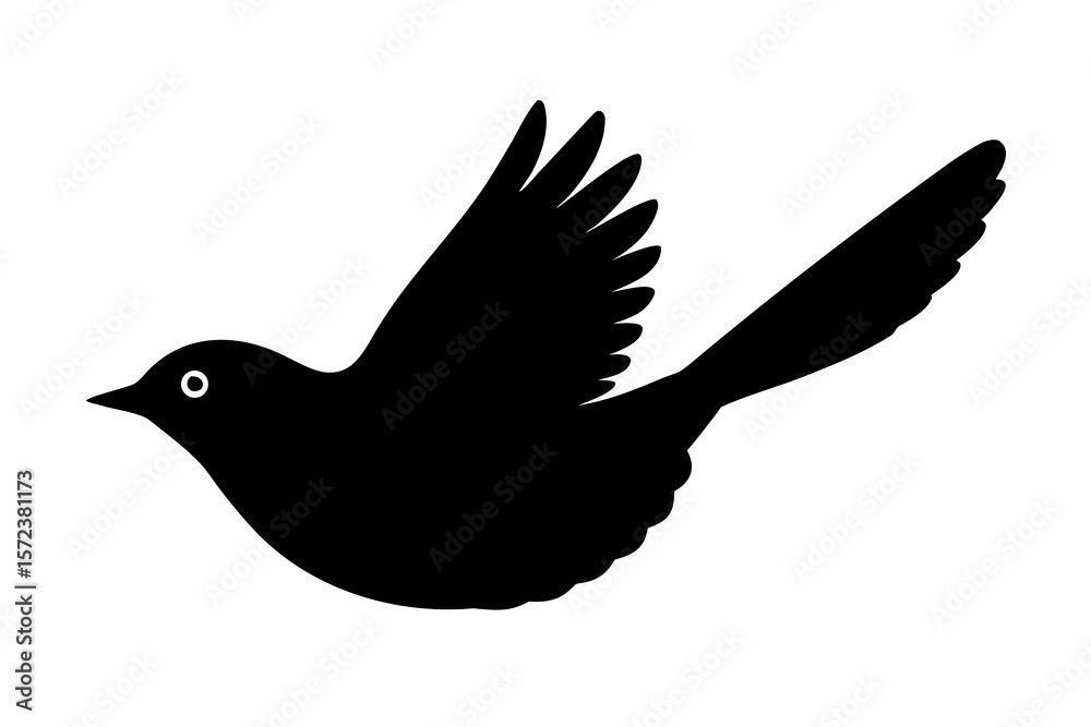 Obraz premium dove isolated on white background