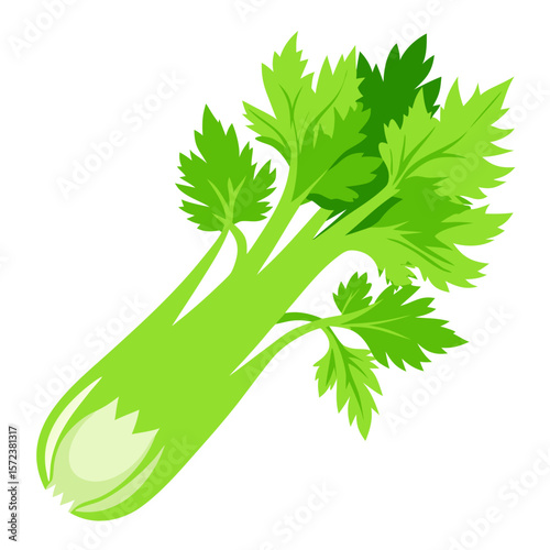 This vector illustration features a vibrant celery with clean lines and modern flat design. Perfect for use in health-related visuals, recipe guides, eco-themed projects, or organic food branding. 