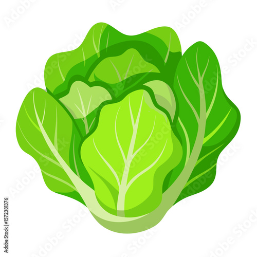 This vector illustration features a vibrant lettuce with clean lines and modern flat design. Perfect for use in health-related visuals, recipe guides, eco-themed projects, or organic food branding. 