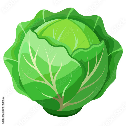 This vector illustration features a vibrant cabbage with clean lines and modern flat design. Perfect for use in health-related visuals, recipe guides, eco-themed projects, or organic food branding.