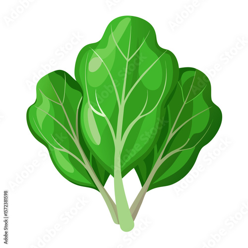 This vector illustration features a vibrant spinach with clean lines and modern flat design. Perfect for use in health-related visuals, recipe guides, eco-themed projects, or organic food branding. 
