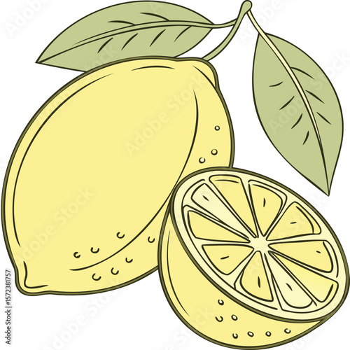 Lemon Slice Illustration