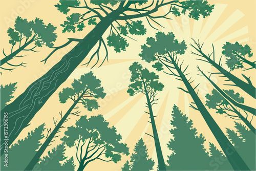 looking-upward-through-a-dense-forest-canopy-of-ta.eps