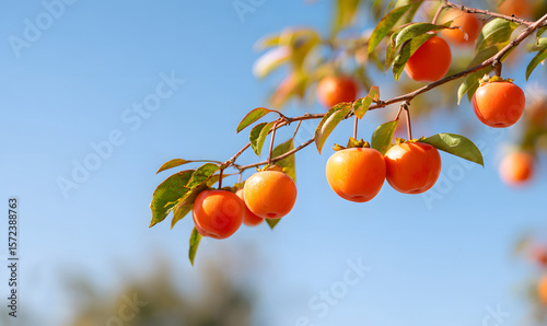 ripe persimmon on a tree. generative ai