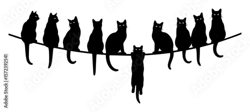 cats sitting on rope silhouette funny vector illustration