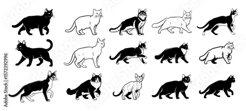 big collection of cats silhouettes and breeds vector set