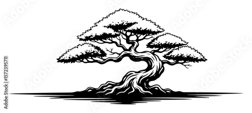 bonsai tree silhouette japanese zen garden vector logo