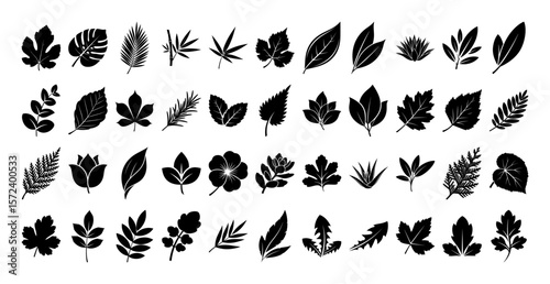 big collection of tree leaf silhouettes vector icon set