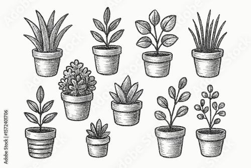 Illustration of ten potted plants with various leaf shapes and sizes, arranged in a decorative pattern.